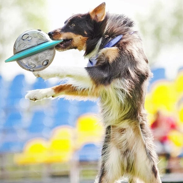 Food Feeder Ball